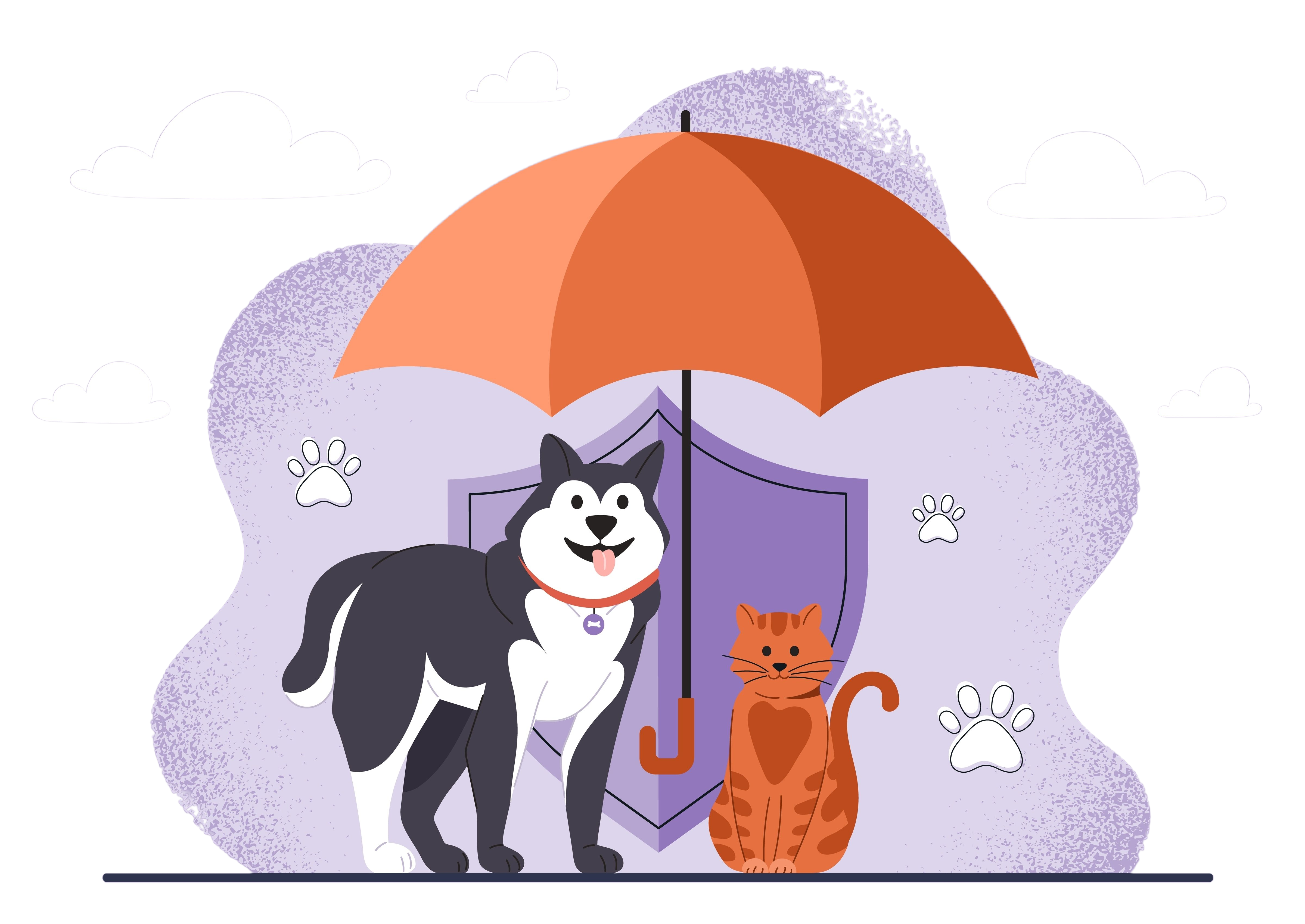 Dog & Cat Insurance